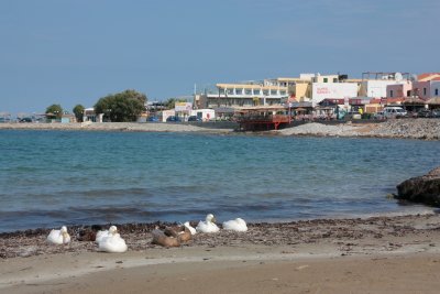 Crete IMG_3684.JPG