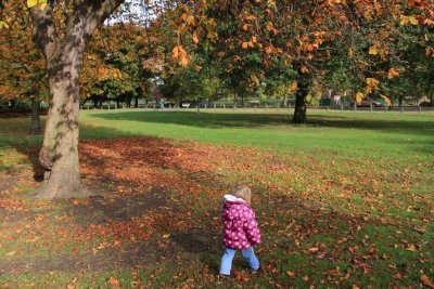 g1/20/552420/3/105240904.76NzPxQl.jpg
