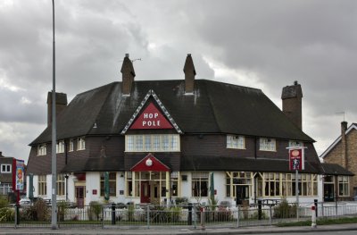 Hop Pole.JPG