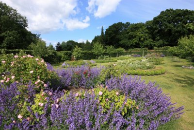 Scampston gardens