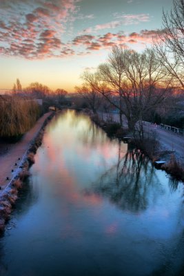 Beverley Beck IMG_7152.jpg