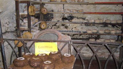 Cheese on shelves