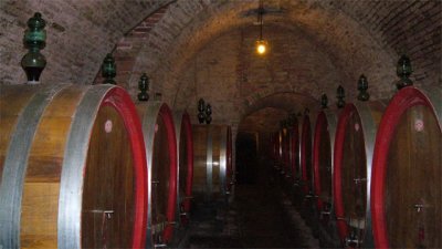 tons of wine barrels