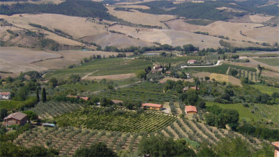 Glimpse of the vineyards