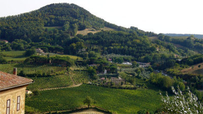 at every lookout point in Montepulciano, you see vineyards