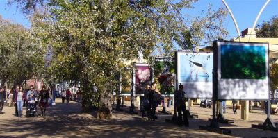 Outdoor exhibition at the Alameda de Hercules