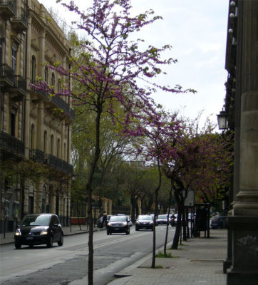 g1/20/553020/3/112596834.Mzfa8WXv.jpg