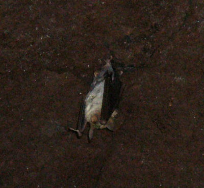 g1/20/553020/3/112596857.knCiCdos.jpg