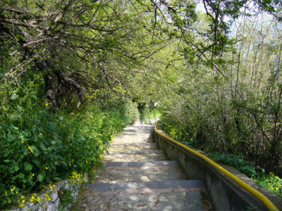 g1/20/553020/3/112598673.pVGNGzK9.jpg