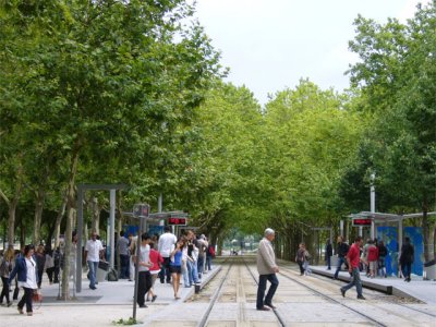 g1/20/553020/3/115388217.kFoT6dar.jpg
