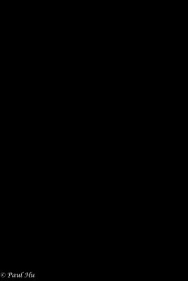 _PAS1619-web.jpg