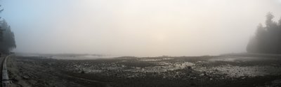 FogPanorama1sm.jpg
