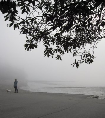 IMG_2050thirdbeach.jpg
