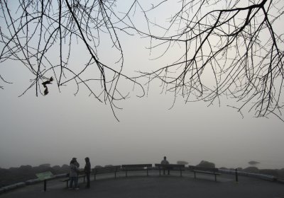 IMG_2122engbayfog.jpg
