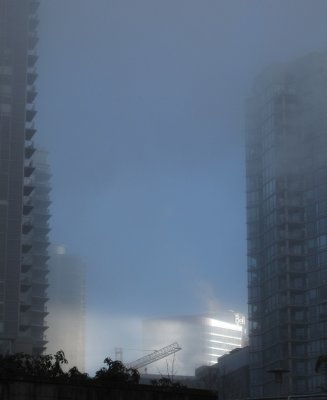 IMG_2317foggy.jpg
