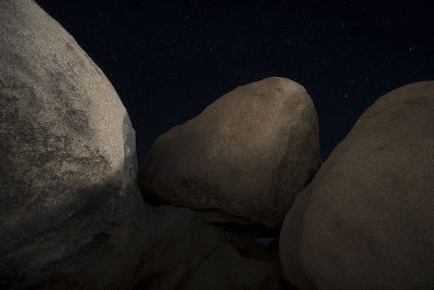 7205jtree3.jpg