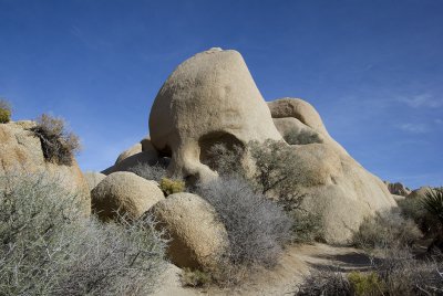Joshua Tree - 2007
