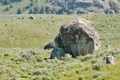 Boulder Field