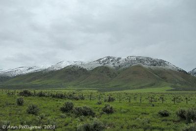 June Snow