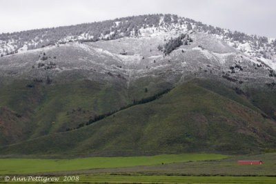 June Snow