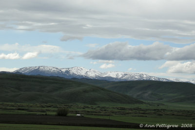 June Snow