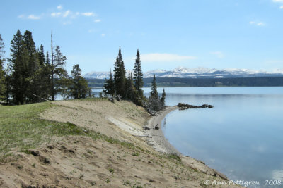 Lake Yellowstone