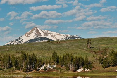 Norris to Mammoth