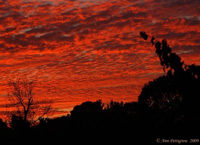 Sunrise at Tuscarora