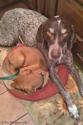 Becket & Rook