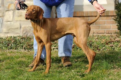 Becket at 6 Months