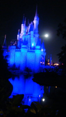 DSC06600.JPG