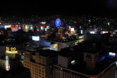 View from Sapporo TV Tower