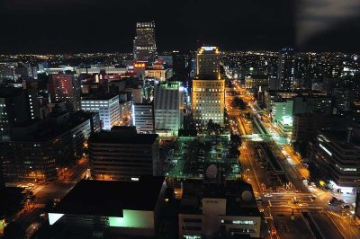 View from Sapporo TV Tower