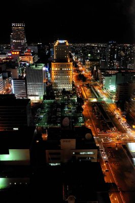 View from Sapporo TV Tower