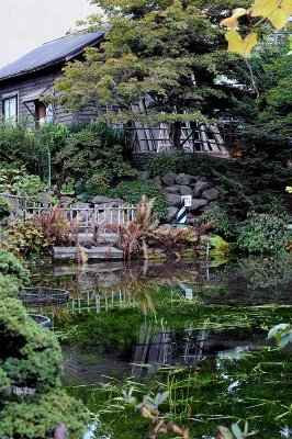 Botanic Garden of Hokkaido University