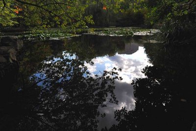 Botanic Garden of Hokkaido University