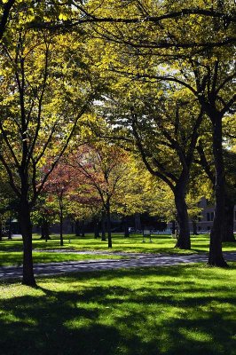 Hokkaido University