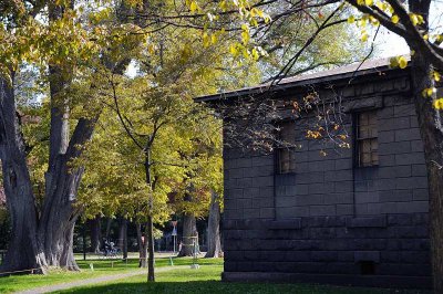 Hokkaido University