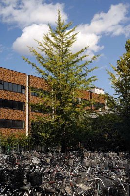 Hokkaido University