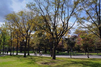 Hokkaido University
