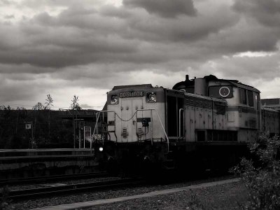 g1/20/667120/3/104207713.gZkMc3iT.jpg