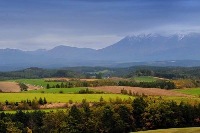 Furano