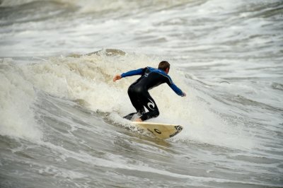 Scheef 111 20090708.jpg