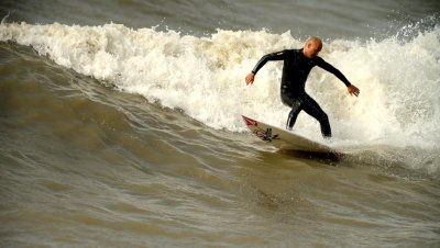 Scheef 258 20090708.jpg
