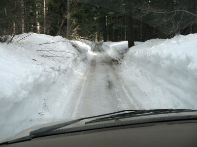 White Pine Road was plowed, to my surprise. The deep snowbanks made for a toboggan-run feel to the road.