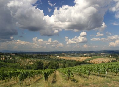 san gimignano1