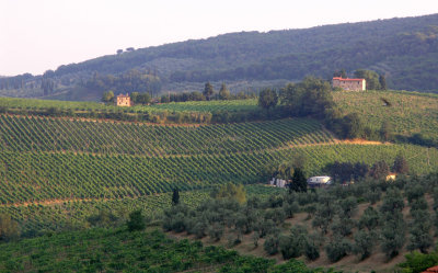 san gimignano14