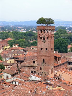 lucca8