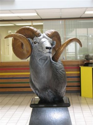 Ram Sculpture