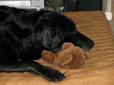 Sophie and one of her babies stuffed toys